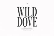 Wild Dove | Tall Serif Font, a Serif Font by KA Designs (Thumbnail 1 of 17)
