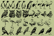 330 ZOO Animals vector illustrations, an Animal Illustration by Nocturnal Wolf (Thumbnail 9 of 18)