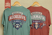 Three Horse Typeface, a Serif Font by alit design (Thumbnail 10 of 20)