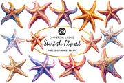 Starfish Watercolor Clipart, an Illustration by SinaCreation (Thumbnail 1 of 5)