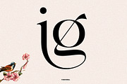 Chaviera, a Serif Font by INKSUN™ (Thumbnail 5 of 13)