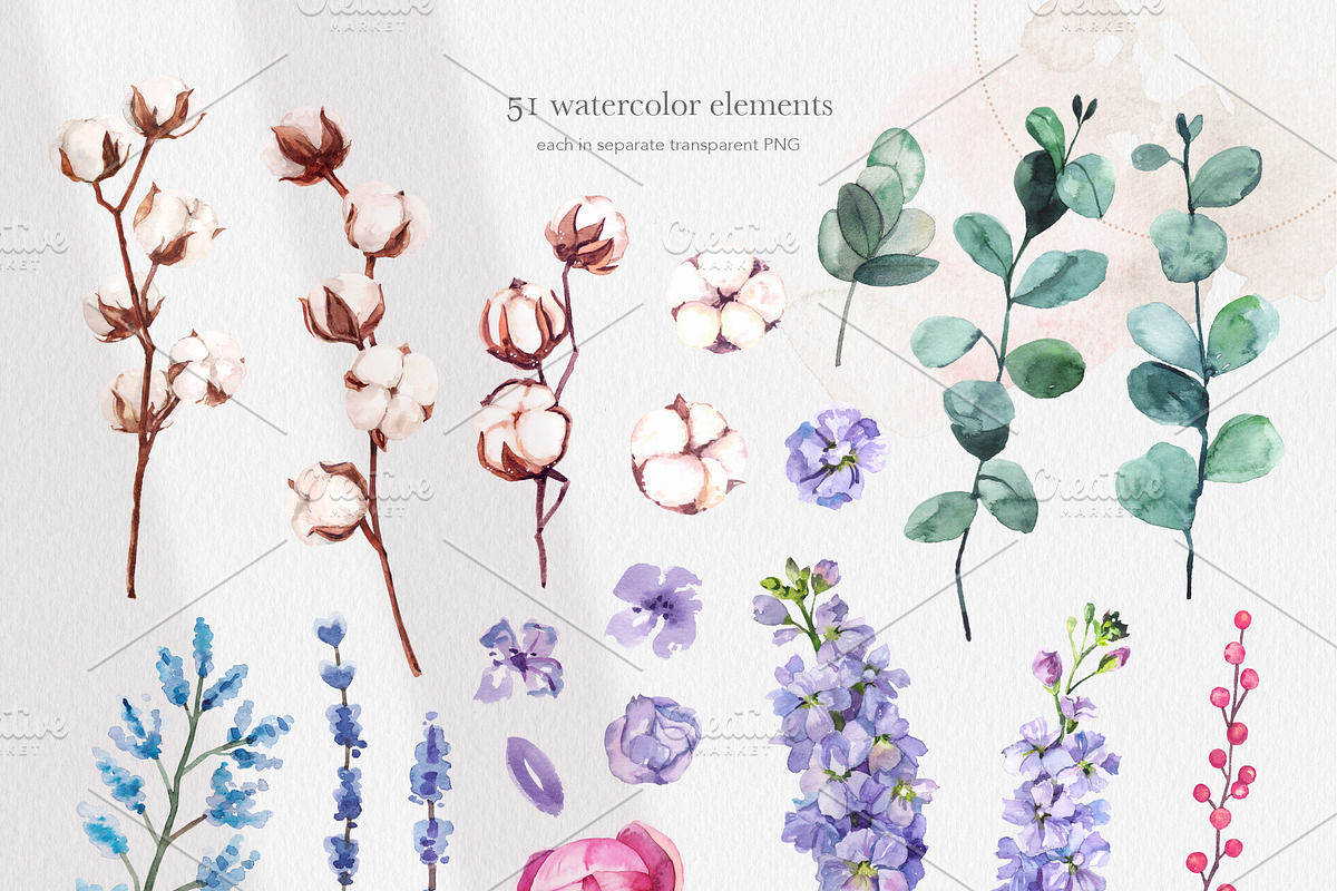 Cotton Botany Watercolor Collection, a Decorative Illustration by Volha Studio (Photo 3 of 9)