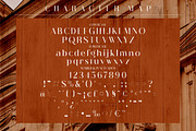 Abigate Desgo Stylish Serif Font, a Serif Font by Storytype Studio (Thumbnail 6 of 8)