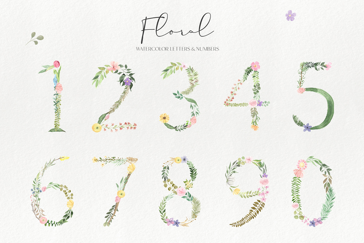 Watercolor Wildflowers Graphic Set, a Graphic by LarysaZabrotskaya (Photo 5 of 11)