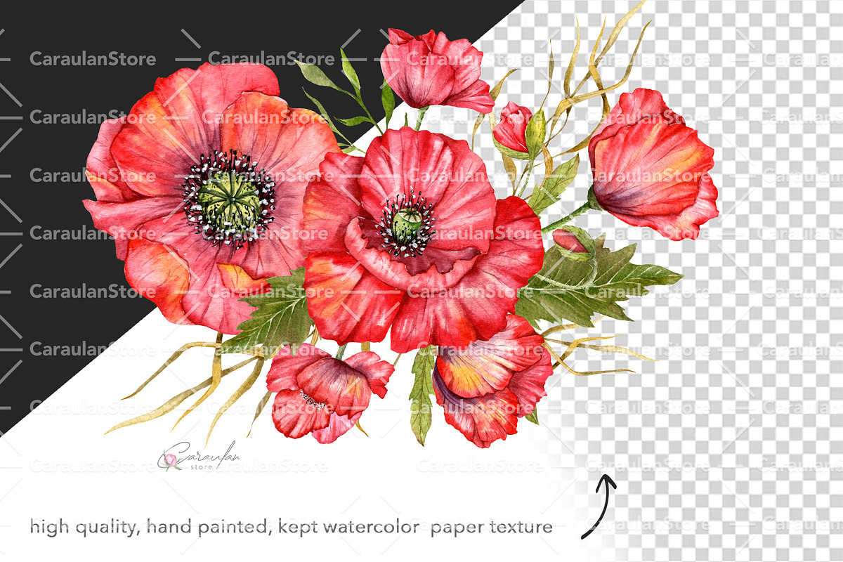 Red Poppy Watercolor Clipart, a Decorative Illustration by CaraulanStore (Photo 9 of 11)