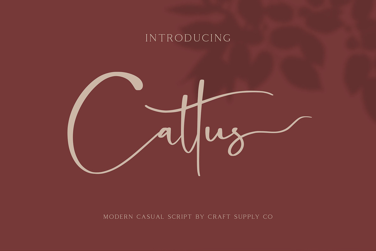 Cattus - Modern Casual Script Font, a Script Font by Craft Supply Co. (Photo 11 of 11)