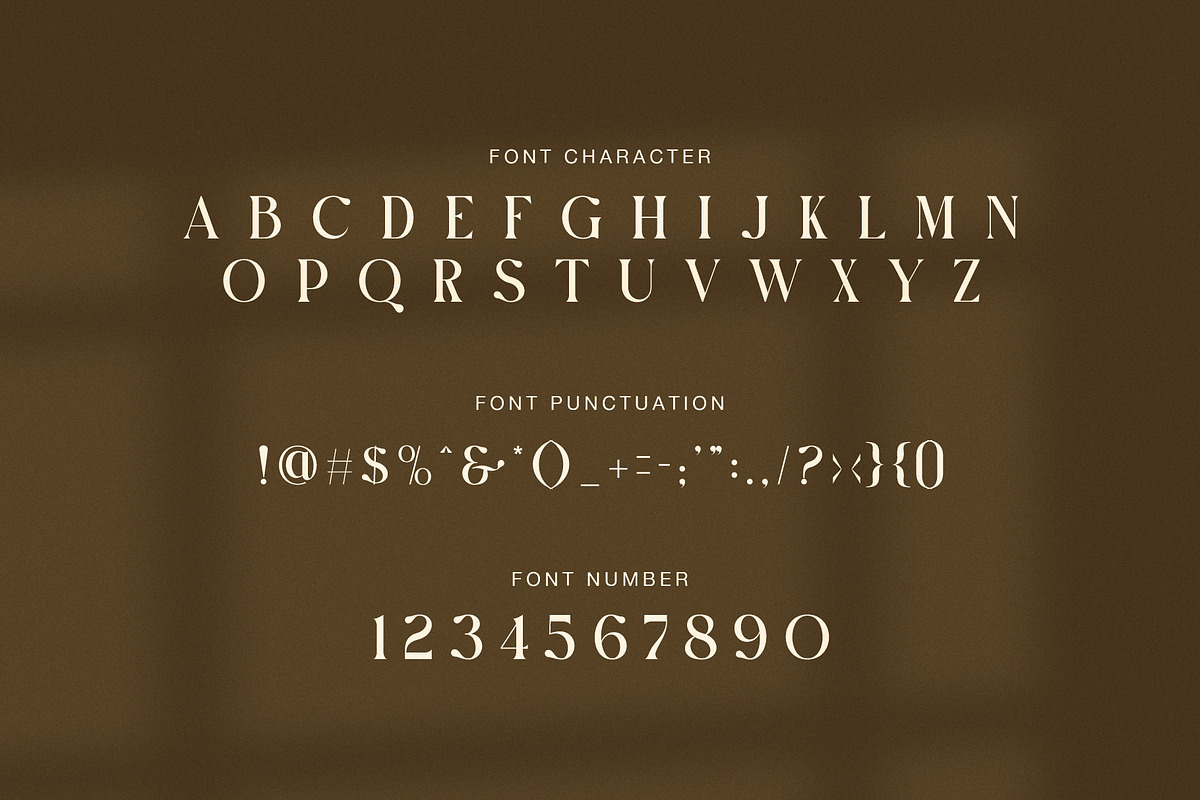 Boxer Elegant Display Serif Font, a Serif Font by Graphicxell (Photo 7 of 8)