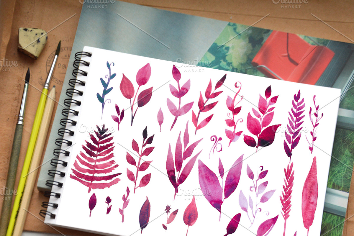 Watercolor Herbs and leaves, an Illustration by Olesya Morokhovets (Photo 3 of 4)