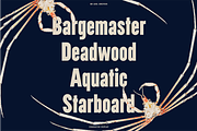 Nautic Grotesk - Modern Display Font, a Sans Serif Font by Bnick (Thumbnail 2 of 12)