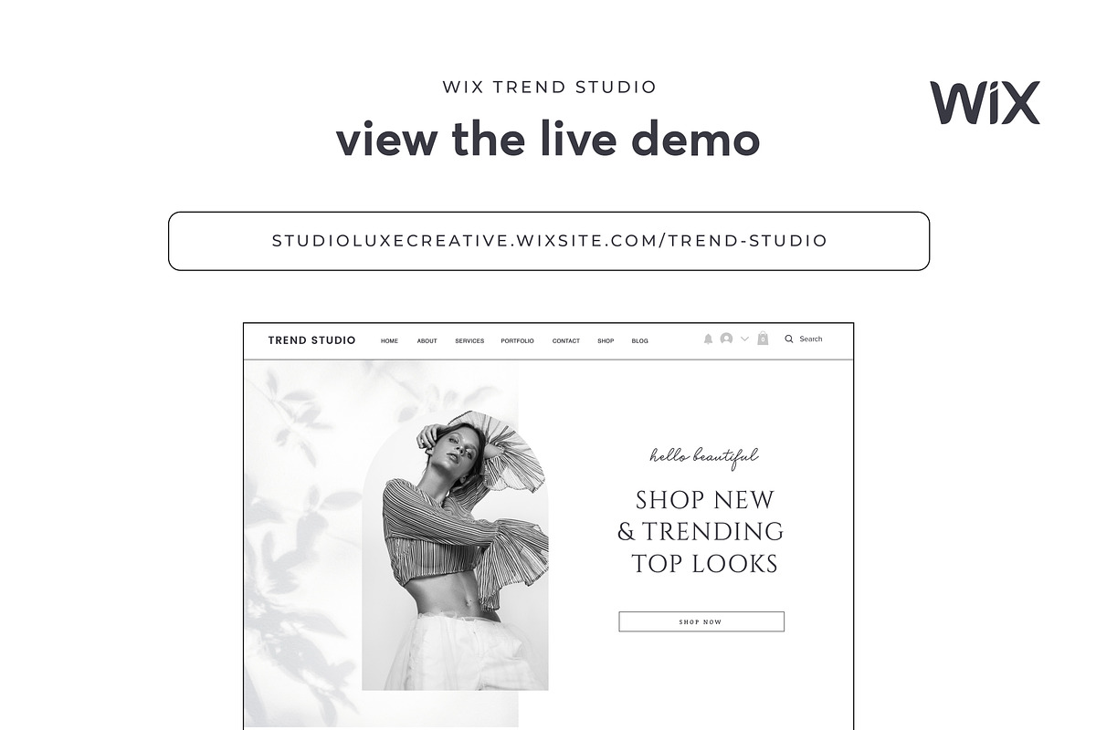 Ecommerce Wix Website Template, a Wix Template by Studio Luxe Creative (Photo 9 of 12)