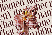 LaRuja - Modern Serif Typeface, a Serif Font by SilverStag Type Foundry (Thumbnail 6 of 20)