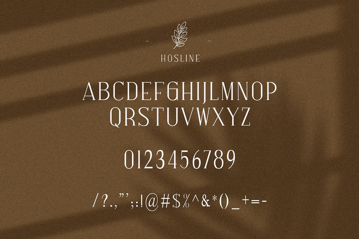 Hosline Modern Serif Font, a Serif Font by Perfectype (Photo 10 of 10)