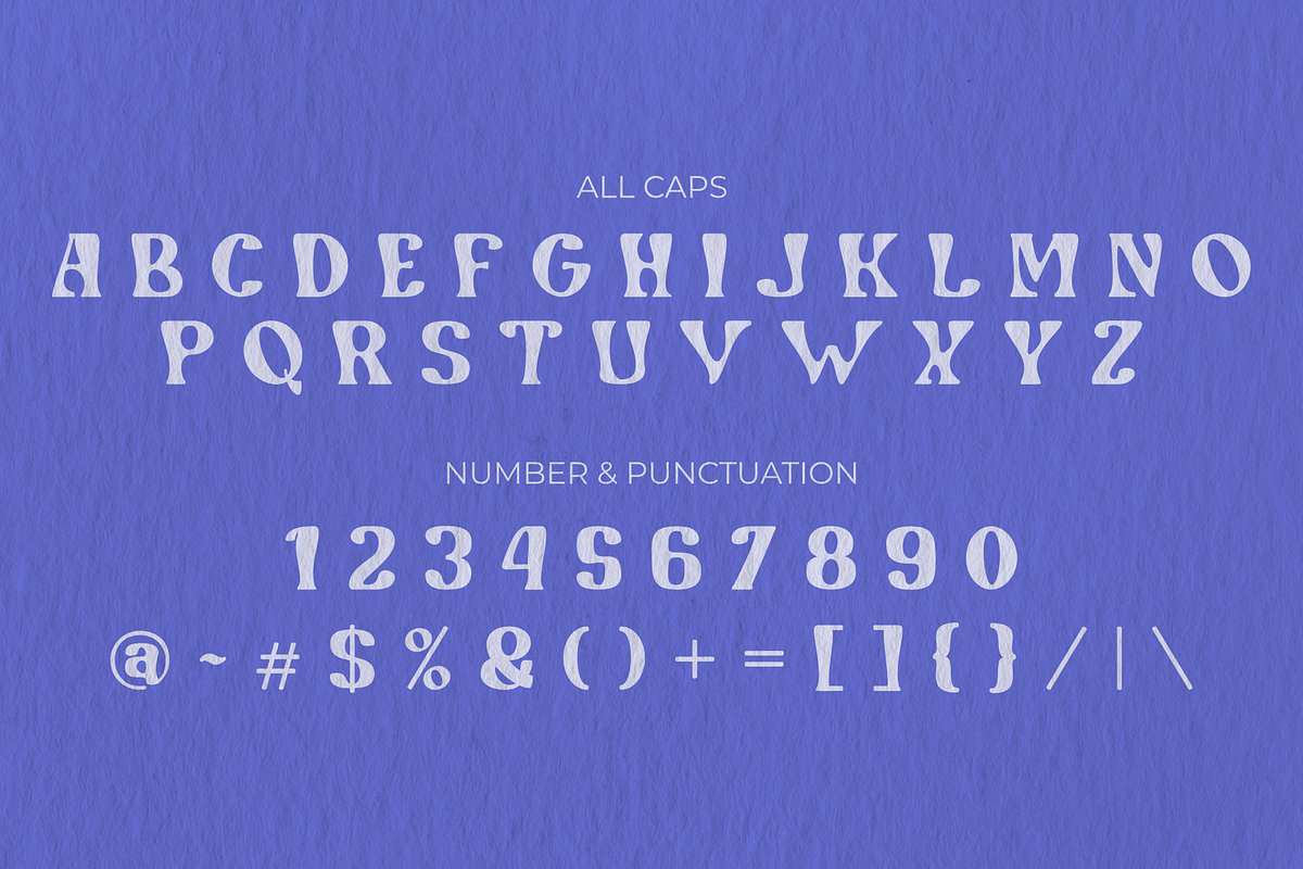 Nevolide (40% OFF), a Serif Font by Randi Irvan | Rvandtype (Photo 8 of 9)