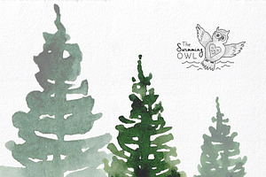 Green Pine Design Elements