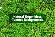 Natural Green Moss Texture Backgroun, a Background Graphic by Pitchlook.Studio (Thumbnail 1 of 3)