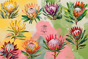 King Protea Watercolor Collection