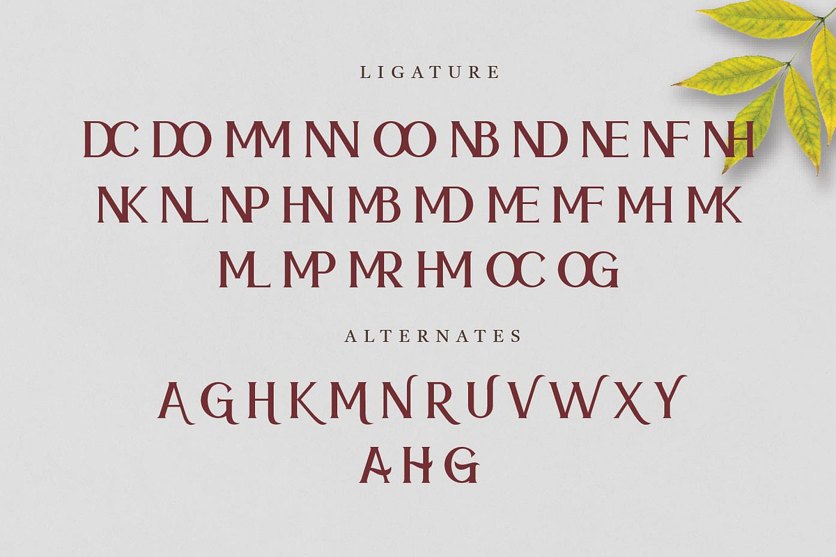 Meramoon - Display Serif Fonts, a Serif Font by Patria Ari (P4tcreativa) (Photo 9 of 10)