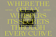 Gafloc Thin Serif Display, a Serif Font by timelesstype.co (Thumbnail 10 of 15)
