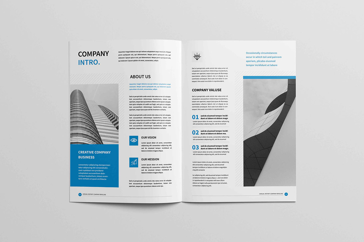 Annual Report Brochure, a Brochure Template by New Lines (Photo 12 of 12)