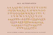 The Rankings Serif, a Serif Font by Letterhend Studio (Thumbnail 9 of 9)