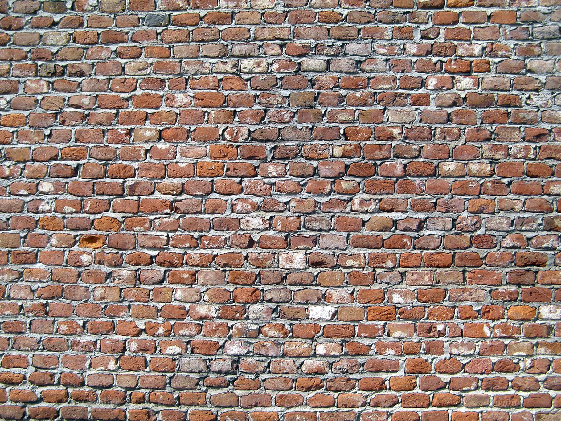 Brick wall stock photo containing brick and wall