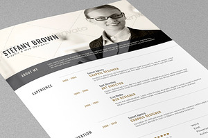Clean Resume II