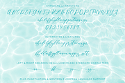 Palm Desert Modern Calligraphy Font, a Script Font by Beck McCormick (Thumbnail 10 of 10)