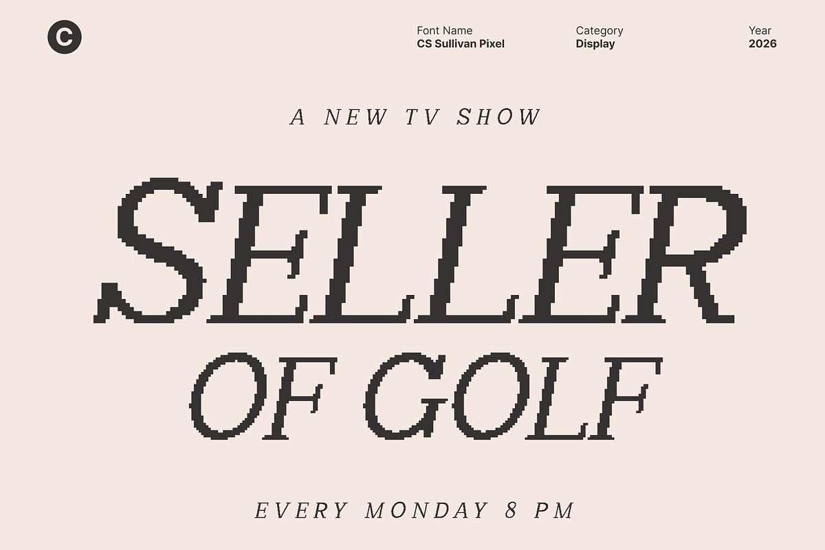 CS Sullivan Pixel, a Serif Font by Craft Supply Co. (Photo 5 of 8)