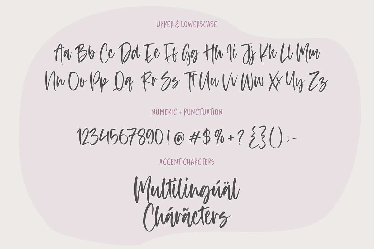 Acordian - Sweet Script Font, a Script Font by Balpirick Studio (Photo 6 of 7)