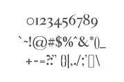 Aable A Modern Serif Font Family, a Serif Font by Creativetacos (Thumbnail 3 of 8)