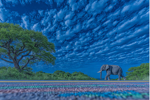 Udawalawe National Park, located in, an Animal Photo by ZinetroN