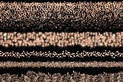 Rose Gold Confetti Frames Borders, a Texture Graphic by Nifty Template Studio (Thumbnail 3 of 10)