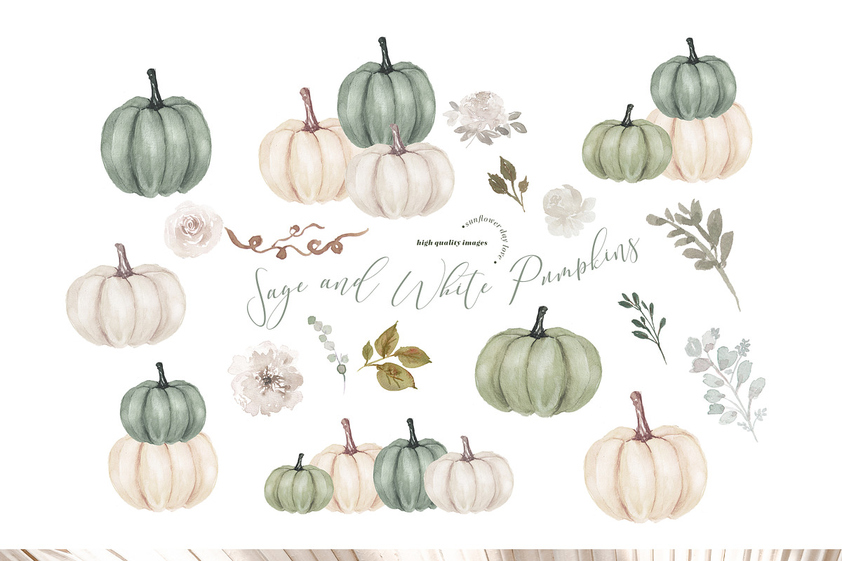Sage and White Pumpkins Clipart, an Illustration by Sunflower Day Love (Photo 1 of 4)
