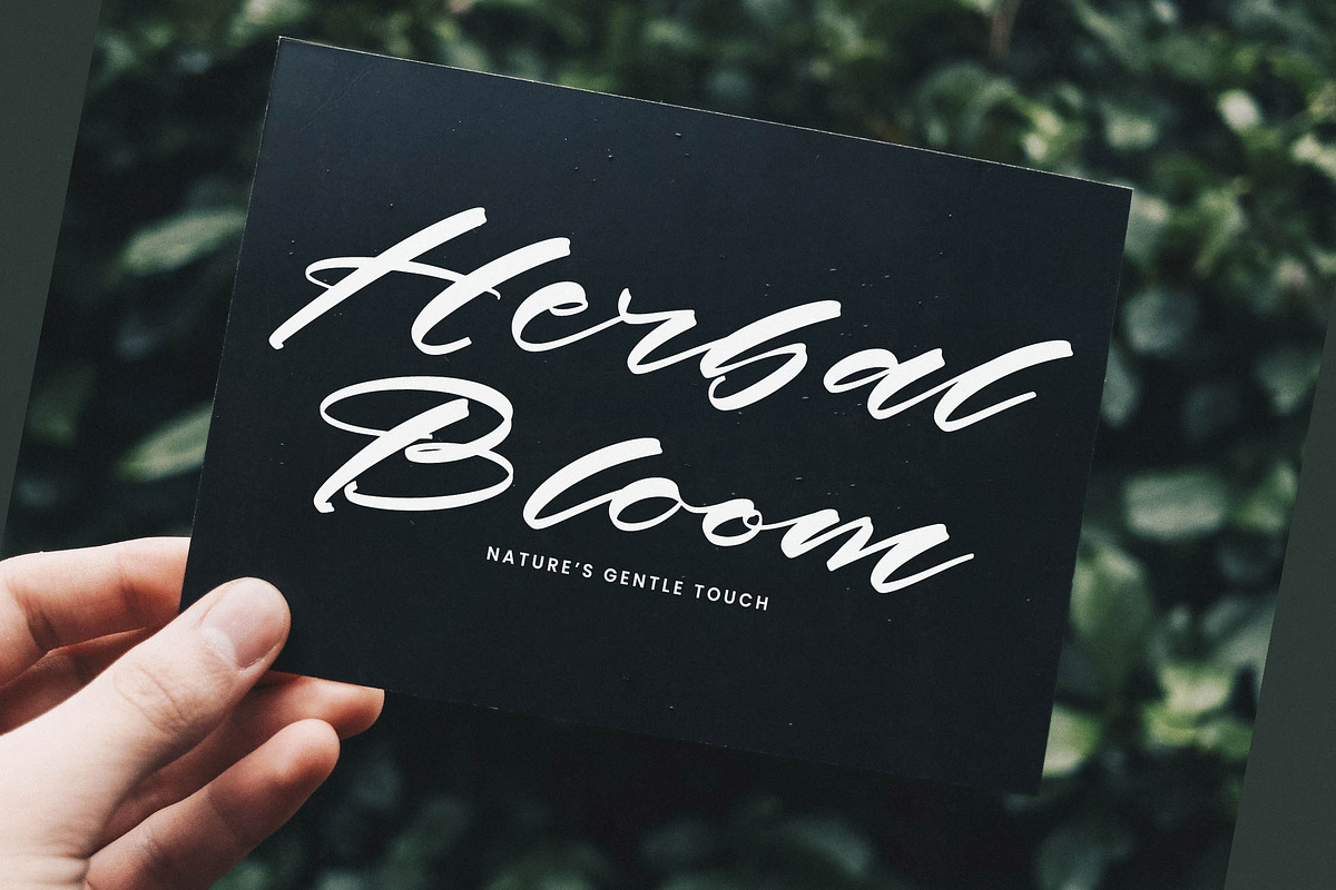 History Kindes Modern Calligraphy, a Script Font by stylishtype.co (Photo 13 of 20)