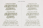 Cottage Dreams - Vintage Font Family, a Handwritten Font by AndrewPixelType (Thumbnail 11 of 11)