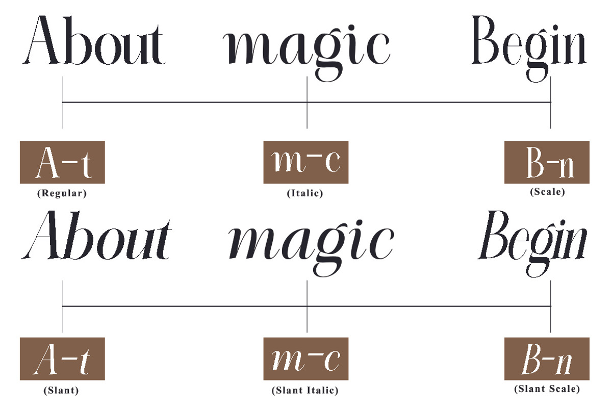 Elighina Serif, a Serif Font by TM Type (Photo 14 of 15)