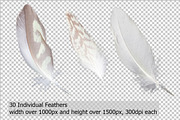 5K Feathers Overlays, an Object Graphic by ArtPlanet (Thumbnail 2 of 7)