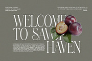 Fankong Minimalist Serif Font, a Serif Font by Perfectype (Thumbnail 6 of 8)