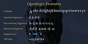 Gazi, a Serif Font by Fontuma (Thumbnail 8 of 12)