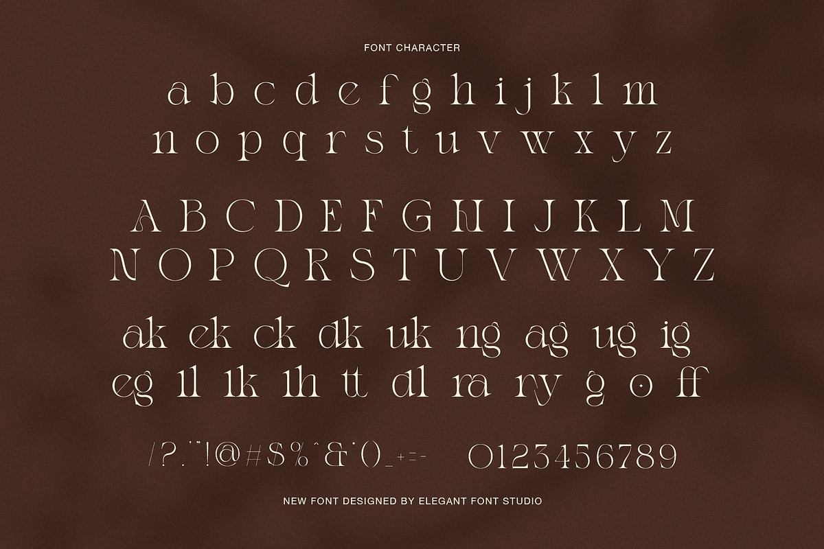 Midkon Elegant Serif Font, a Serif Font by Elegant Font (Photo 7 of 8)
