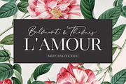 The Stay Classy Font Duo, a Serif Font by Nicky Laatz (Thumbnail 8 of 36)