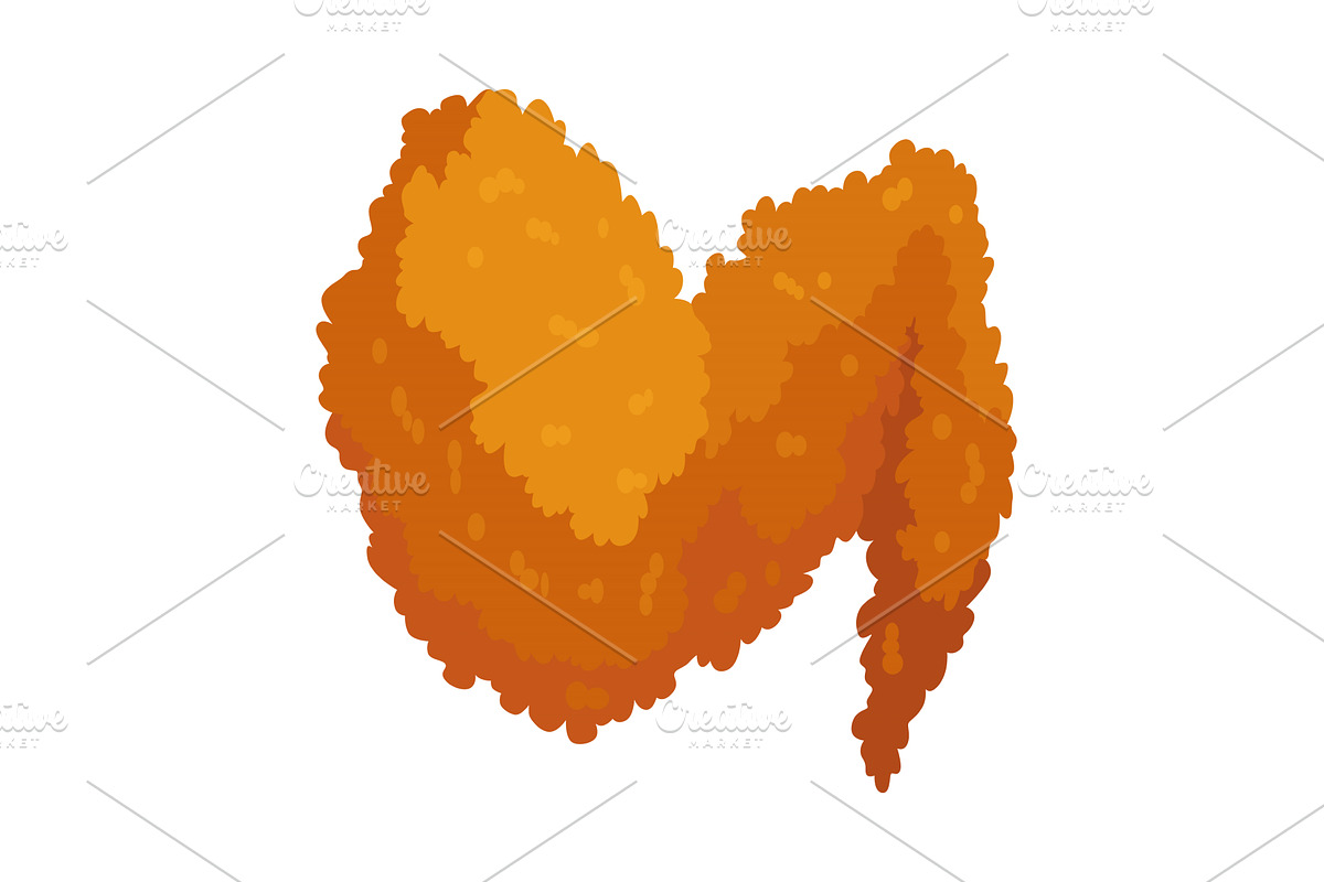 Fried chicken. Crispy fried, a Food Illustration by Things for designers