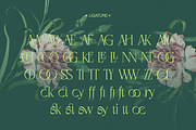 Negkomis — Elegant Ligature Serif, a Serif Font by Enxyclo Studio (Thumbnail 23 of 26)