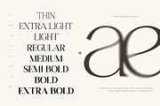 TT Gateral – Elegant Serif Typeface, a Serif Font by truetype (Thumbnail 3 of 15)