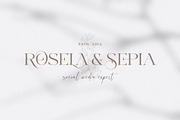 Medino // Modern Stylish Serif, a Serif Font by BrandSemut (Thumbnail 2 of 10)
