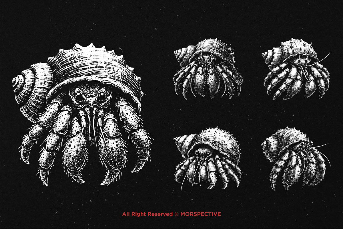 10 Bundle Dark Art Hermit Crab, an Illustration by Morspective (Photo 3 of 7)