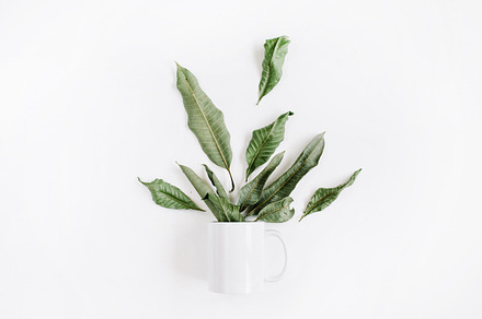 Mug with leaves stock photo containing flat and lay, an Arts & Entertainment Photo by Floral Deco