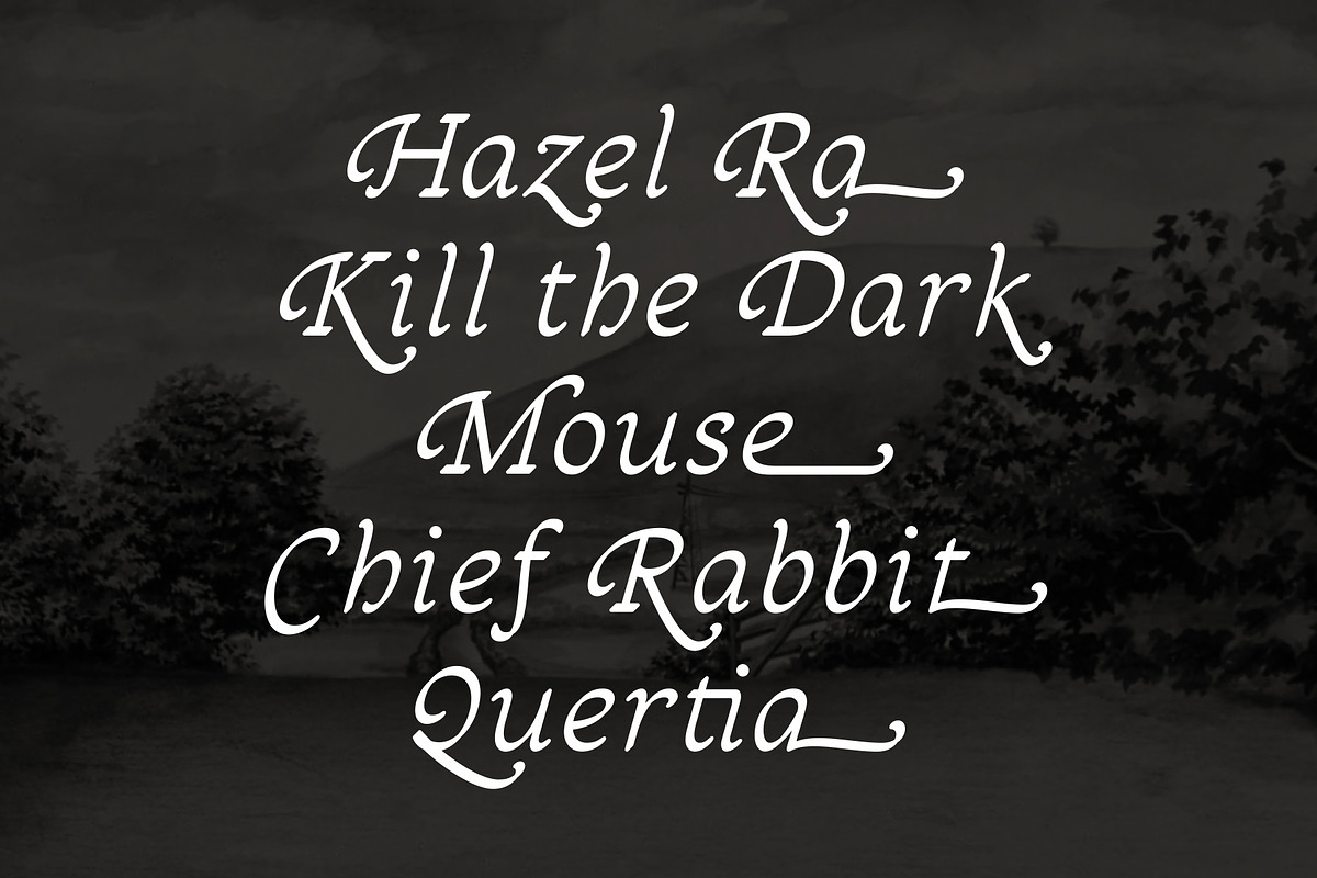 Sandleford Italic, a Serif Font by Simon Walker (Photo 4 of 9)