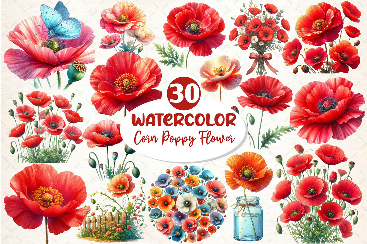 Corn Poppy Flower Bloom Clipart, an Illustration by Dream Creation (Photo 1 of 6)