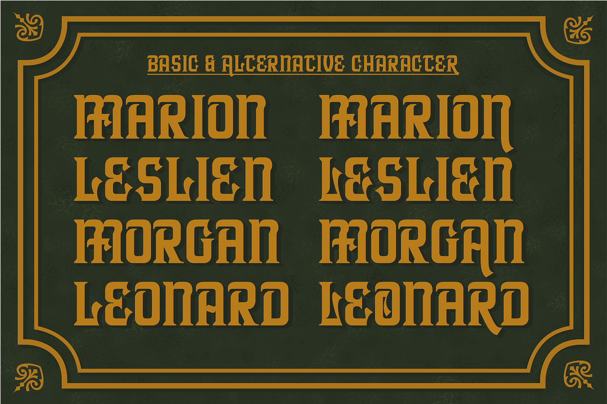 ARMINOS, a Serif Font by saskaratype (Photo 6 of 6)
